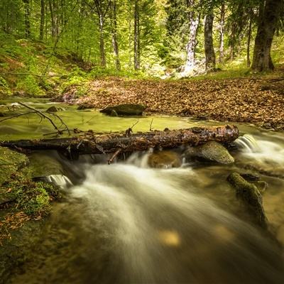 欧宝江南官方下载